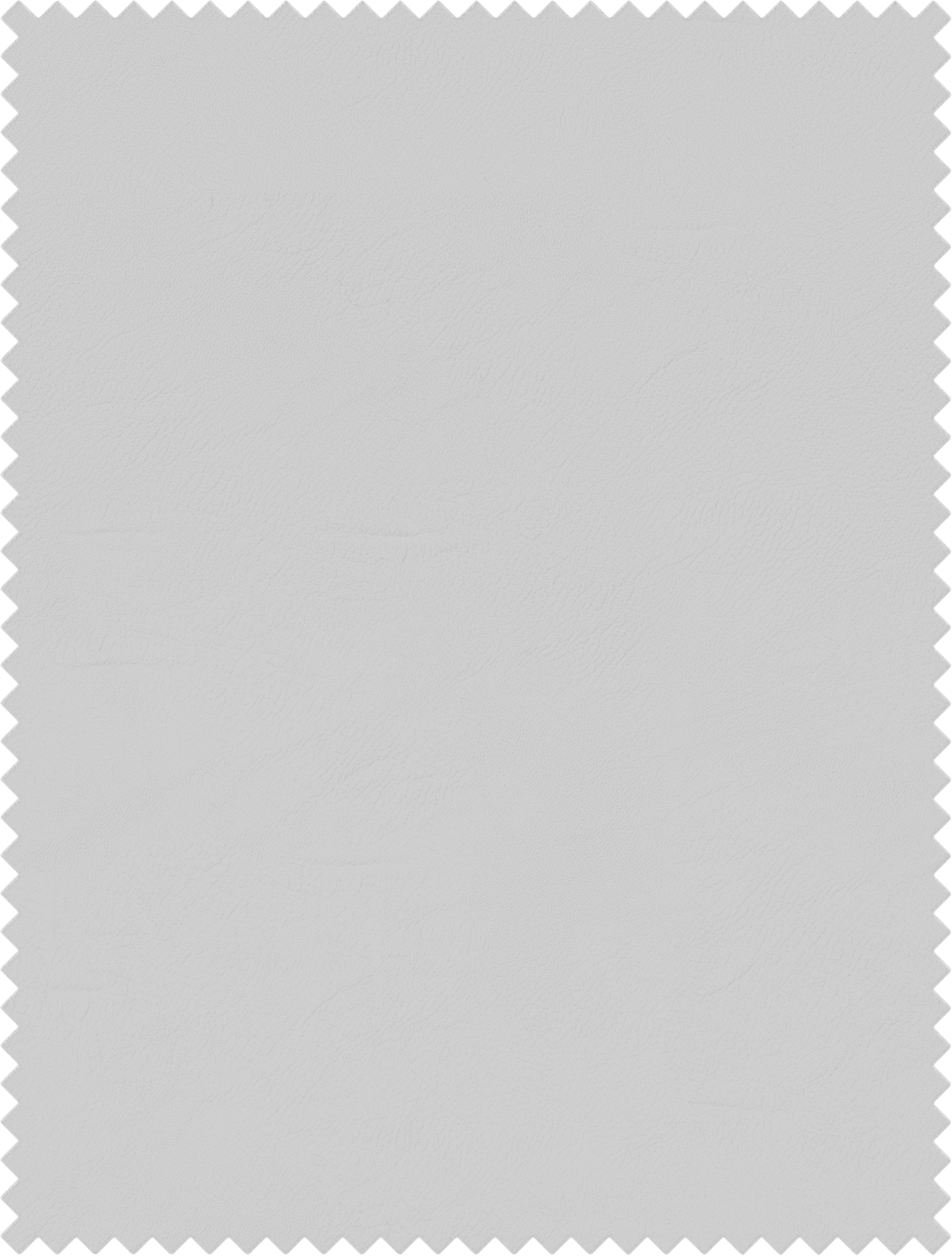 Vintage Leather White Dove